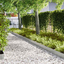 vidaXL Lawn Edging 50 pcs Black 100 x 0.05 x 20 cm