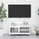 vidaXL Tv-meubel 90x30x44 cm staal en glas zwart