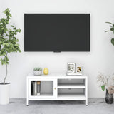 vidaXL Tv-meubel 90x30x44 cm staal en glas zwart