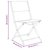 vidaXL Tuin Eettafel Set 3 pcs Zwart Gepoedercoat staal