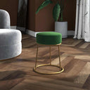 vidaXL Hocker rond fluweel groen