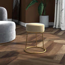 vidaXL Hocker rond fluweel groen