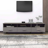 vidaXL TV Cabinet HAMAR 158x40x40 cm Solid Pine Honey Brown