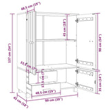 vidaXL Kledingkast HAMAR 99x45x137 cm massief grenenhout honingbruin