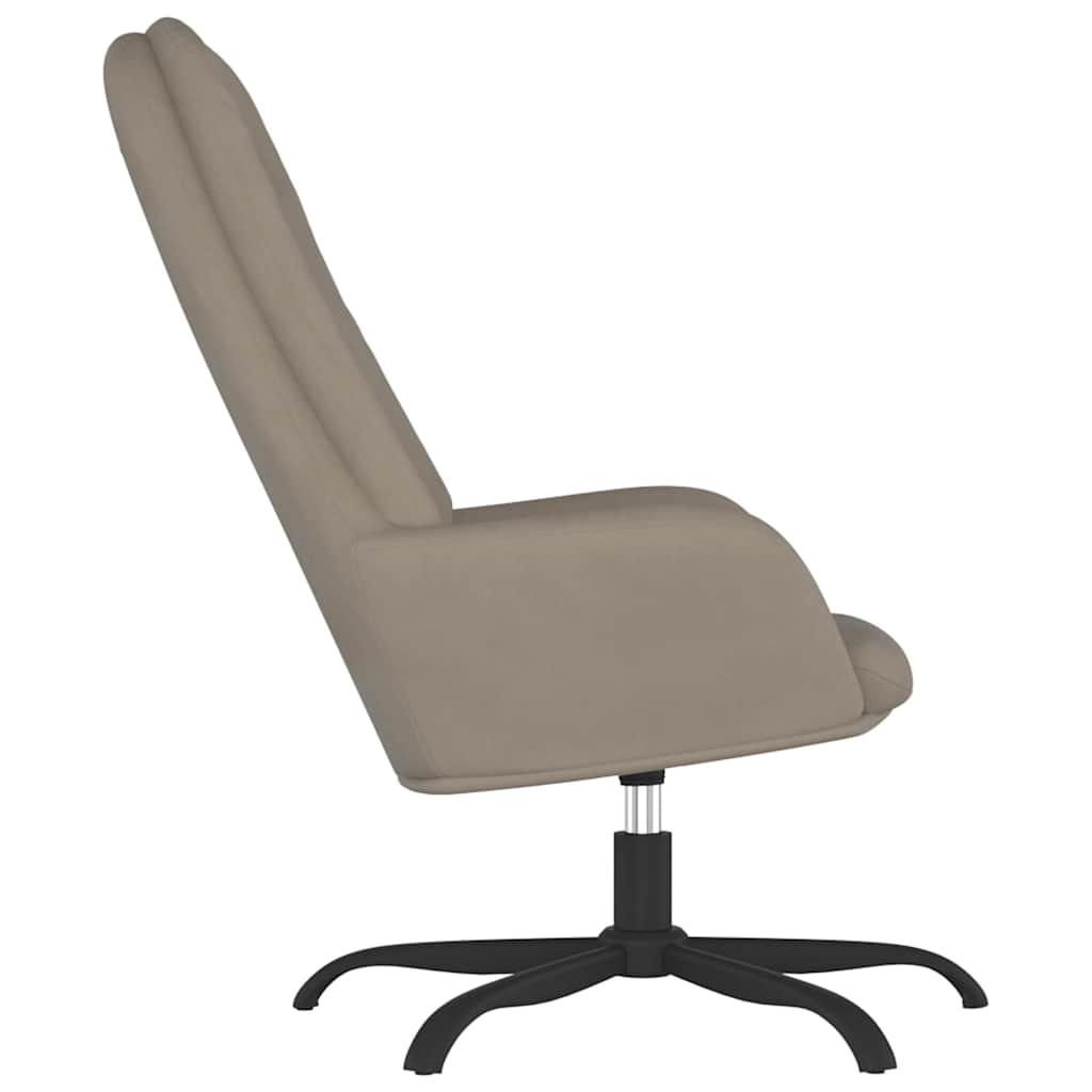 vidaXL Relaxstoel fluweel lichtgrijs
