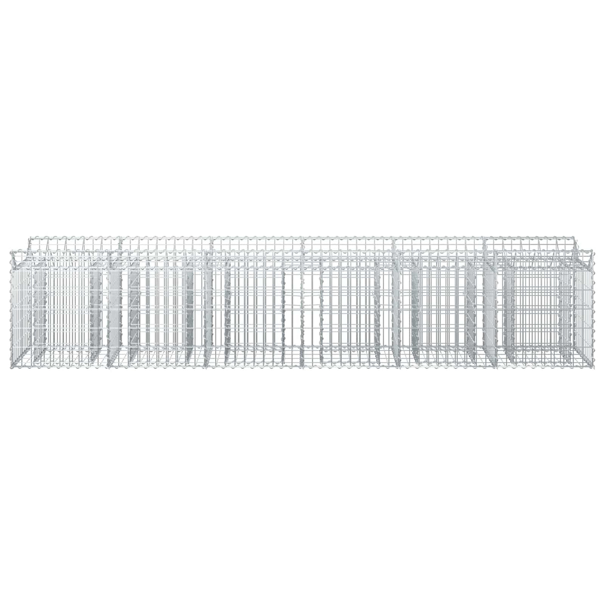 vidaXL Gabion verhoogd bed 2 pcs Zilver 300 x 50 x 60 cm