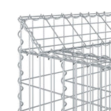 vidaXL Gabion verhoogd bed 2 pcs Zilver 300 x 50 x 60 cm
