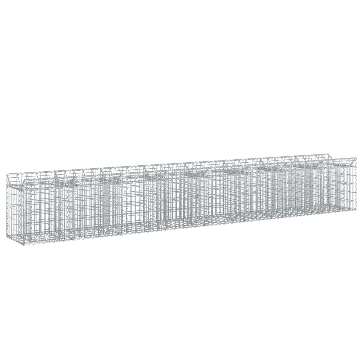 vidaXL Gabion verhoogd bed 2 pcs Zilver 300 x 50 x 60 cm