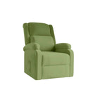 vidaXL Fauteuil verstelbaar fluweel lichtgrijs