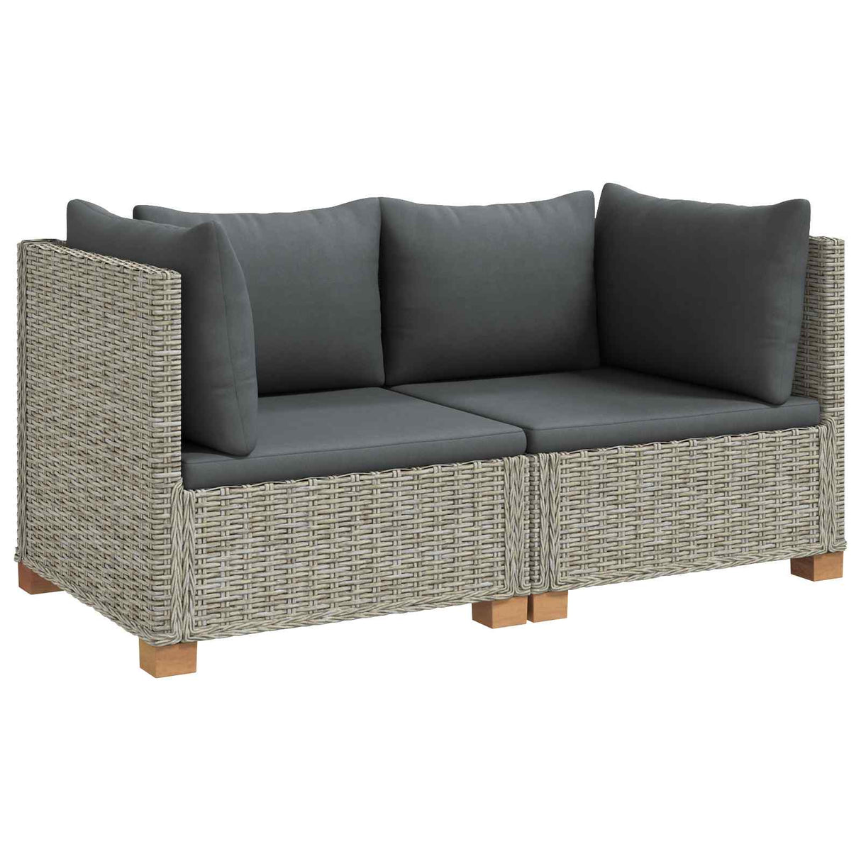 vidaXL 2 st Rieten Loungeset met Kussens GENDT Natuurlijk Riet Naturel