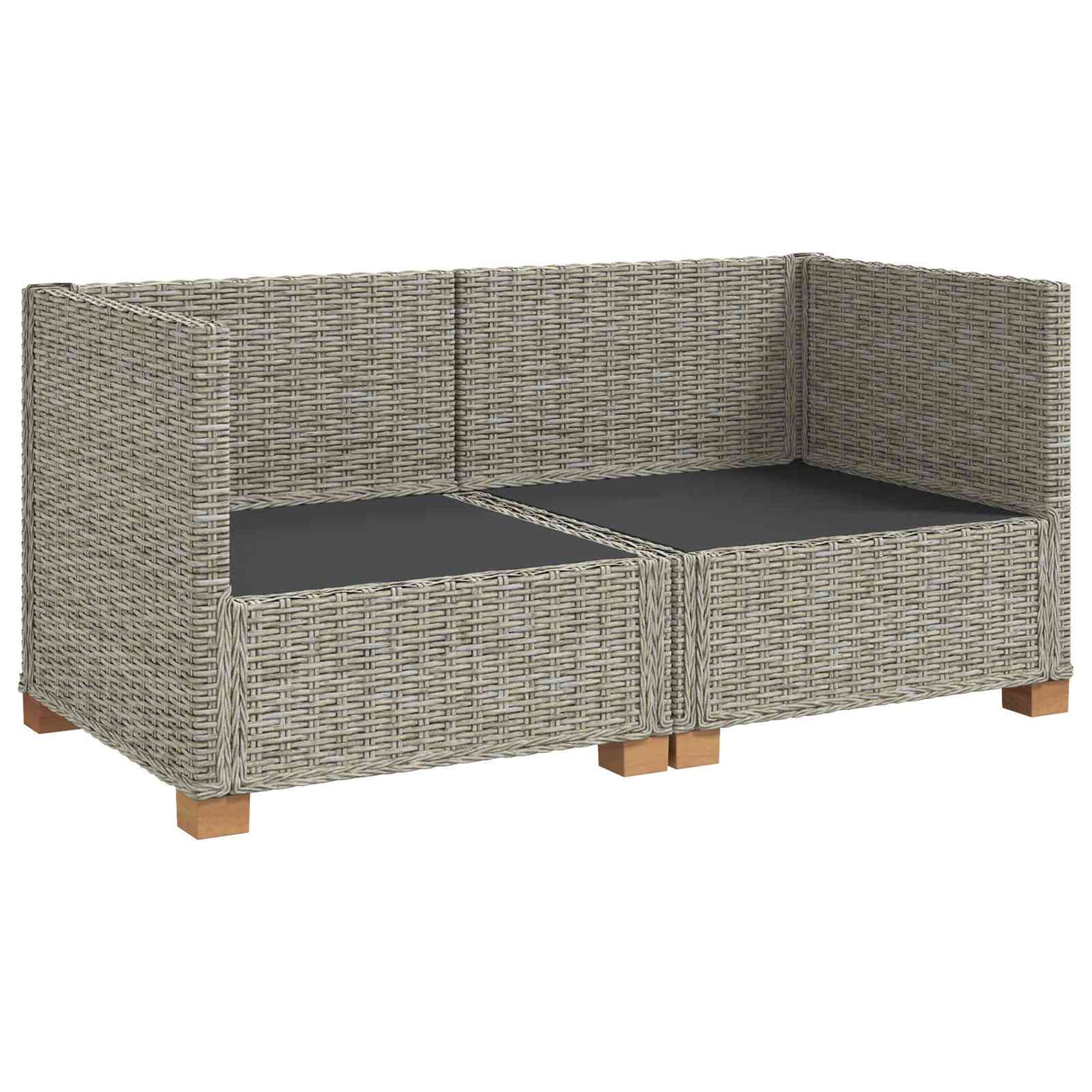 vidaXL 2 st Rieten Loungeset met Kussens GENDT Natuurlijk Riet Naturel