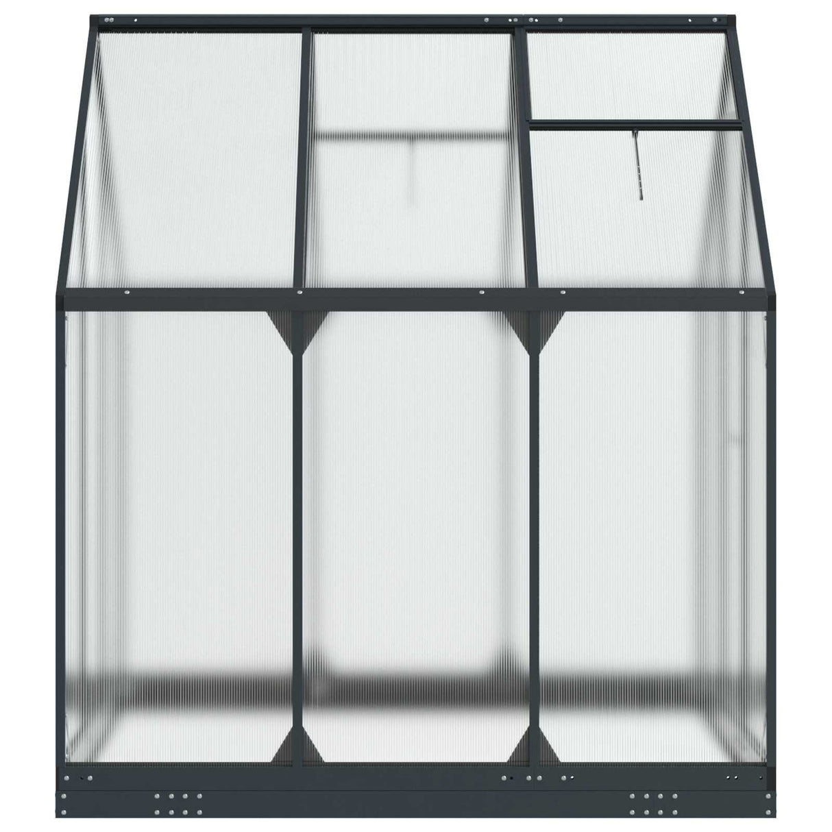 vidaXL Garden Greenhouse with Door Anthracite 183.5 x 183.5 x 207 cm