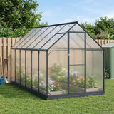 vidaXL Garden Greenhouse with Door Anthracite 183.5 x 183.5 x 207 cm