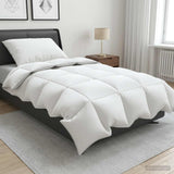 vidaXL 90% Ganzendons Deken Set FULDA 2 st 135 x 200 cm Alle seizoenen