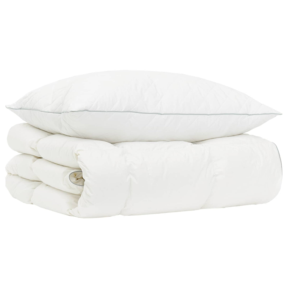 vidaXL 90% Ganzendons Deken Set FULDA 2 st 135 x 200 cm Winter 300 GSM