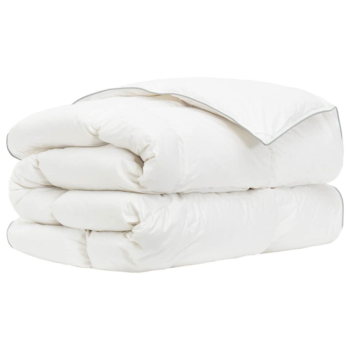 vidaXL 90% Ganzendons Deken Set FULDA 2 st 135 x 200 cm Winter 300 GSM