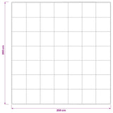 vidaXL 90% Ganzendons Deken Set FULDA 3 st 200 x 200 cm Winter 300 GSM