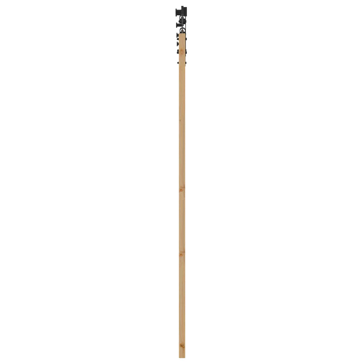 vidaXL Schuifdeur ORKDAL Naturel 61 x 198,5 cm Massief grenenhout