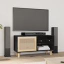 vidaXL Tv-meubel 80x30x40 cm massief grenenhout en rattan wit