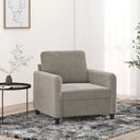 vidaXL Fauteuil 60 cm fluweel lichtgrijs