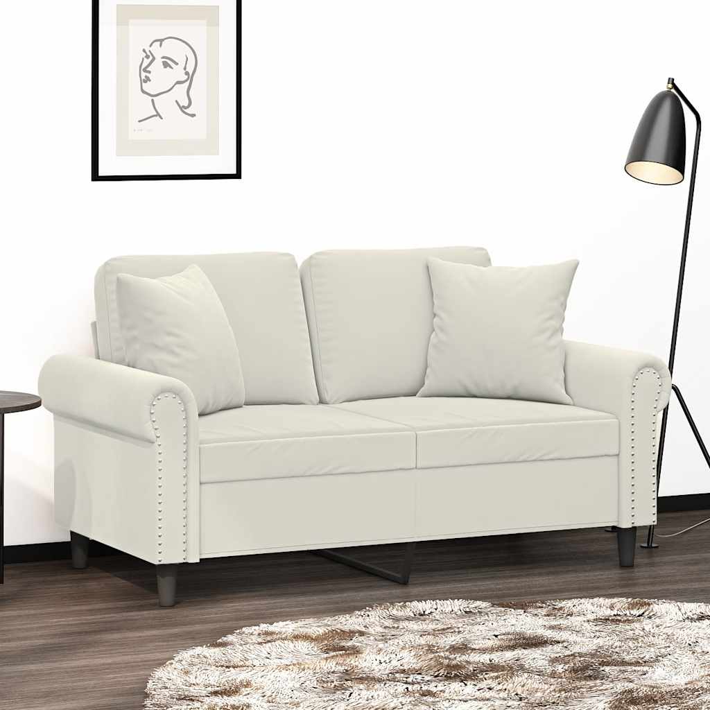vidaXL Sierkussens 2 st 40x40 cm fluweel lichtgrijs