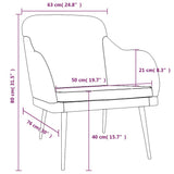 vidaXL Fauteuil 63x76x80 cm fluweel lichtgrijs