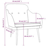 vidaXL Fauteuil 63x76x80 cm stof lichtgrijs
