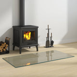 vidaXL Glazen haardplaat Doorzichtig 80 x 50 cm Glas