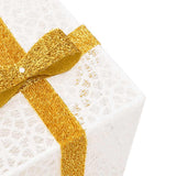 vidaXL Kerstfiguur cadeaudoos 3 st verlicht 64 warmwitte LED's