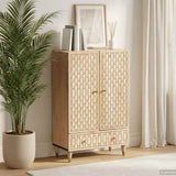 vidaXL Hoge kast 60x33x100 cm massief mangohout