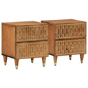 vidaXL Nachtkastjes 2 st 40x33x46 cm massief mangohout