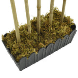 vidaXL Kunstplant bamboe 500 bladeren 80 cm groen