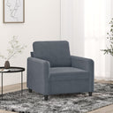vidaXL Fauteuil 60 cm fluweel lichtgrijs