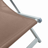vidaXL Strandstoelen inklapbaar 2 st aluminium en textileen grijs