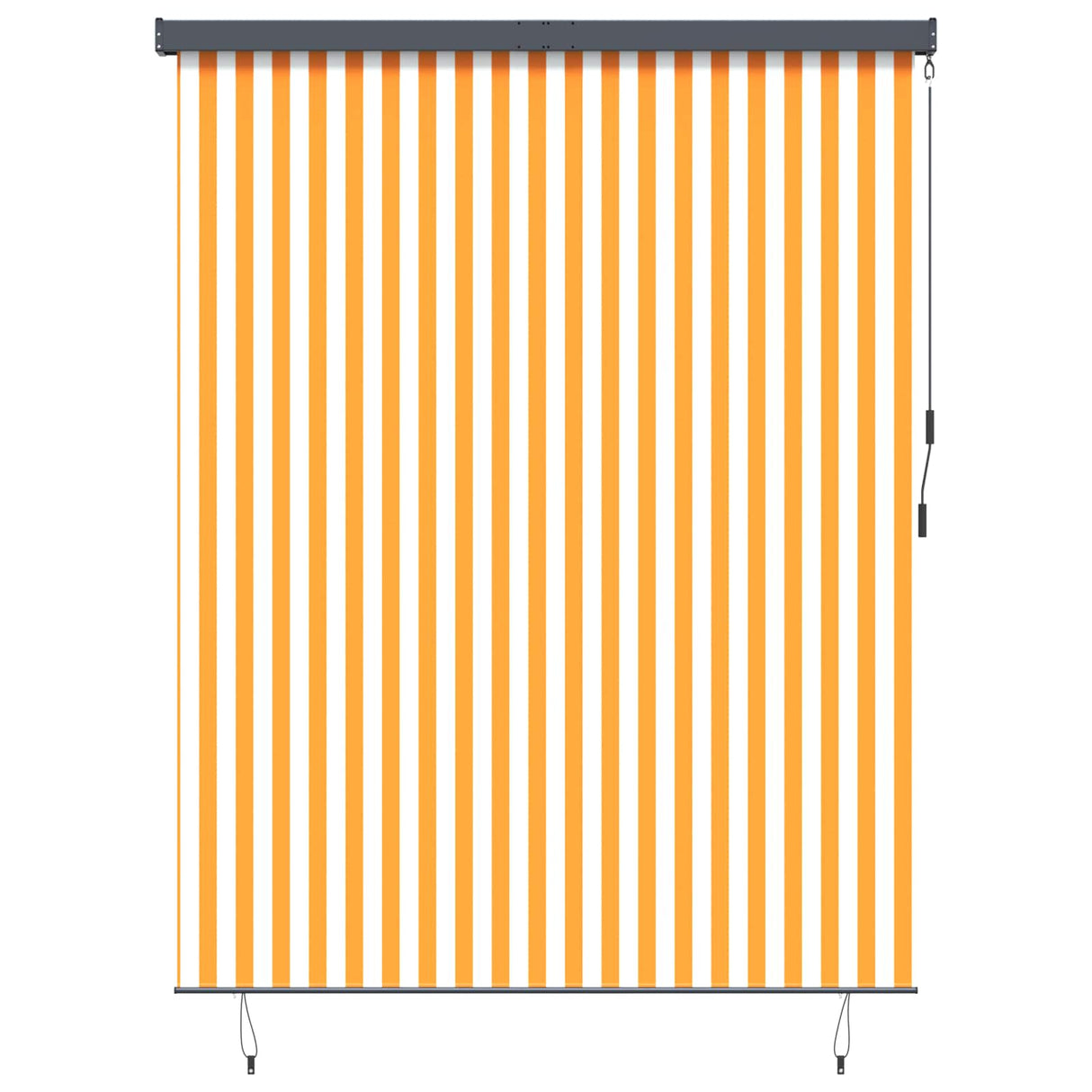 vidaXL Rolgordijn voor buiten 60x250 cm blauw en wit