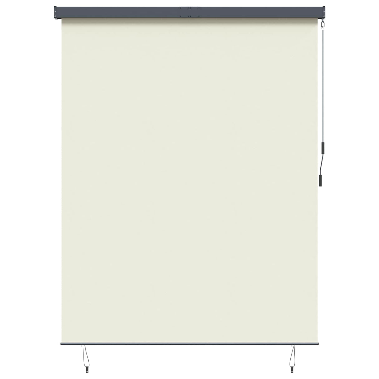 vidaXL Rolgordijn voor buiten 60x250 cm blauw en wit