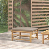 vidaXL 3-delige Loungeset met kussens bamboe lichtgrijs