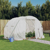 vidaXL Tuinkas met stalen frame 12 m² 4x3x2 m groen