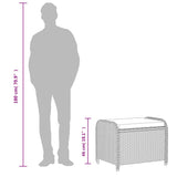 vidaXL Tuinkruk met kussen 58x46x46 cm poly rattan zwart