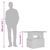 vidaXL Tuintafel met glazen blad 100x55x73 cm poly rattan zwart