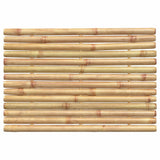 vidaXL Badmatten 2 st 50x35 cm bamboe