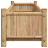 vidaXL Planter 50x30x25 cm bamboo