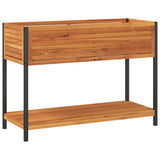 vidaXL Plantenbak met schap 45x45x80 cm massief acaciahout en staal