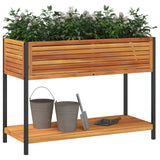 vidaXL Plantenbak met schap 45x45x80 cm massief acaciahout en staal
