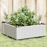 vidaXL Plantenbak met pinnen 42,5x42,5x28,5 cm polypropeen zwart
