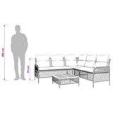 vidaXL 2-delige Loungeset met kussens poly rattan zwart