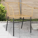 vidaXL Tuinstoelen 2 st poly rattan zwart