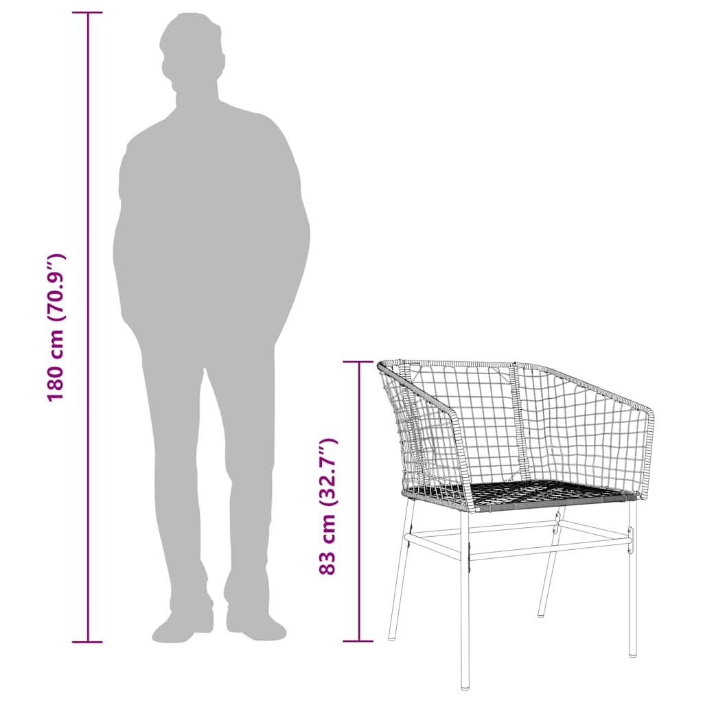 vidaXL Tuinstoelen 2 st poly rattan zwart