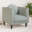 vidaXL Fauteuil met kussen fluweel lichtgrijs