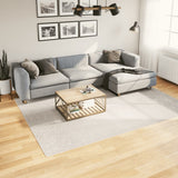 vidaXL Vloerkleed IZA laagpolig Scandinavisch 80x150 cm antraciet